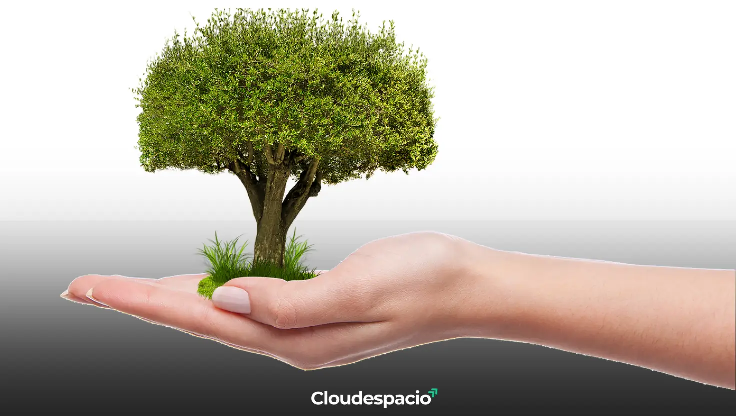 Cloudespacio Green Mission 2025: Save Trees, Shape Tomorrow