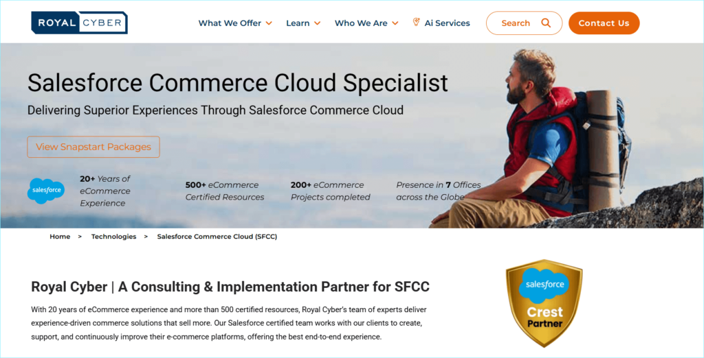 Royal-Cyber-Salesforce-cloud-experts